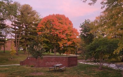 North Park band-shell